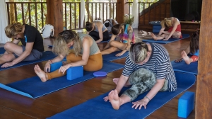 Best Yoga Teacher Training in Thailand   