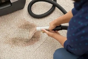 The Art And Science Of Carpet Cleaning: Unveiling The Secrets To A Fresh And Inviting Home