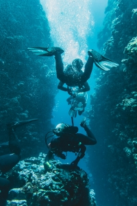 What to Expect on Your First Boat Dive