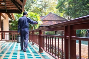 Why Professional Termite Control Services Are Essential for Home Health