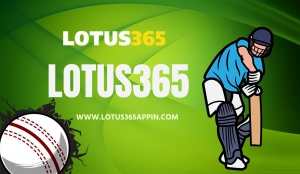 Your Lotus365 ID and the Road to Online Cricket Play