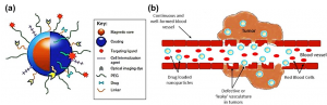 Bio-Targeted Small Molecules Conjugated Magnetic Nanoparticles for Targeted Cancer Therapy