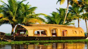 Discover Kerala Like Never Before with Exclusive Kerala Tour Packages