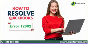 How to Troubleshoot QuickBooks Error Code 12002?
