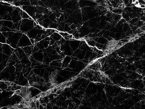 Top Black and White Granite Types: With Veins, Salt & Pepper and Swirls Patterns