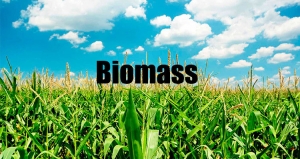 Agricultural Biomass Utilization: Boosting Rural Economies and Sustainability | Zarea Limited
