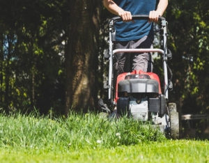 Towson Fall Clean-Up Tips: Prep Your Lawn for a Healthy Winter
