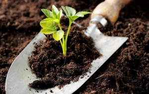 Biopesticide Manufacturing Plant Setup Cost 2025: Machinery and Business Plan
