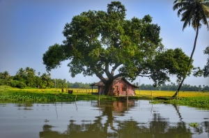 9 Days Kerala Luxury Honeymoon Tour with Private Houseboat