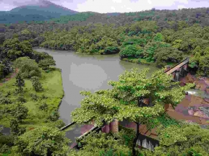 8 Days Kerala Spice Tour Package with Hill & Backwater Charm