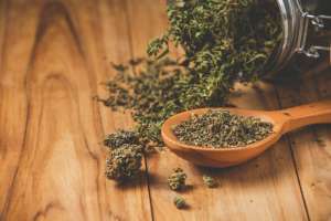Can Kratom Support Recovery from Opioid Addiction?