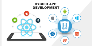 Hybrid App Development Company