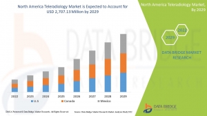 North America Teleradiology Market Industry Analysis, Key Vendors, Opportunity and Forecast To 2029 