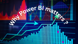 Unlock Business Insights with Power BI: Why Learning It Now Matters