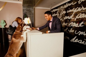 Pet Friendly Hotel Market Growth and Strategic Outlook 2025-2032