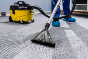 Carpet Cleaning Columbia MD – Deep Clean, Fast Dry, No Hidden Fees