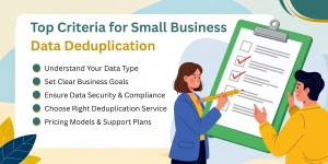 How To Choose The Best Data Deduplication Service For Small Business