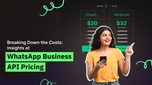 WhatsApp Business API Pricing in India: Cost, Plans & Complete Guide by WebMaxy