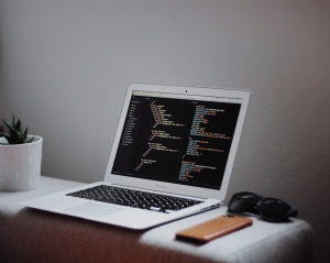 Understanding Links, Buttons, and Forms in Web Development