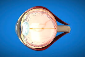 Understanding Retinal Disorders- Dr. Rashi Sharma