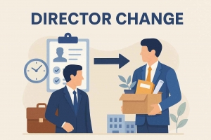 Right Way to Change Directors in a Private Company