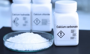 United States Ground and Precipitated Calcium Carbonate Market Size & Share 2025-2034