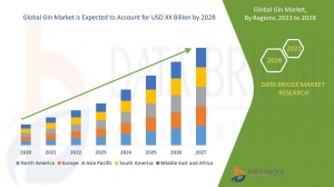 Gin Market Share, Segmentation and Forecast to 2029 