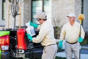 What Happens During a Termite Inspection and Why You Need One