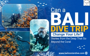 Can a Bali Dive Trip Change Your Life? Stories from the Deep That Go Beyond the Coral