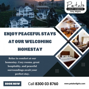 Petals Ooty: Living the Nilgiris Naturally, Without the Luxury Price Tag