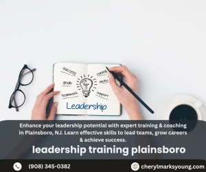 What Are the Best Leadership Development Programs in Plainsboro, NJ?