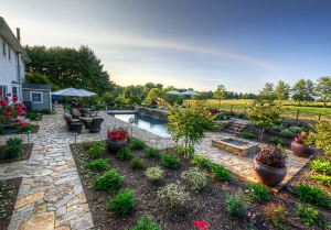 Elevate Your Curb Appeal with Inspiring Home Design Landscape Solutions