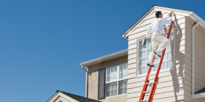 Cleaning Beyond the Surface: Professional Services That Simplify Moving and Living in Auckland