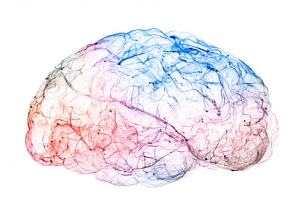The Rise of Teleneurology: Key Drivers and Future Projections