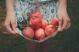 Why Autumn Crisp Apples Are the Star of Fall Fruit
