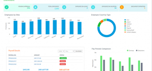 What Is the Role of HR Software in Qatar?