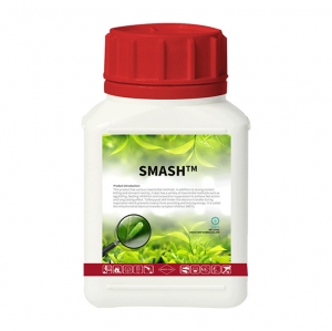 SMASH® Emamectin Benzoate 2%+Tolfenpyrad 10% Insecticide