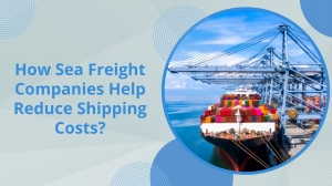 How Sea Freight Companies Help Reduce Shipping Costs?