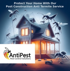 Expert Termite Control in Mohali: Our Proven Methods for Lasting Protection