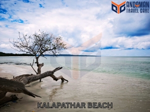 Andaman Tour Packages From Mumbai