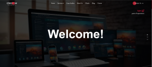 Digital Marketing and Web Development: How They Work Together to Grow Your Brand