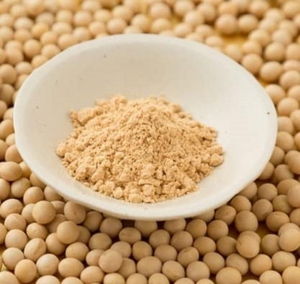 Soy Flour Market Size, Share, Forecast by Segment, 2032