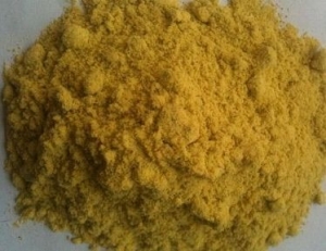 Pumpkin Powder Manufacturing Plant Setup Cost 2025- Raw Materials Requirement and Detailed Project Report