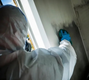 How Do Professionals Assess the Extent of Water Damage?