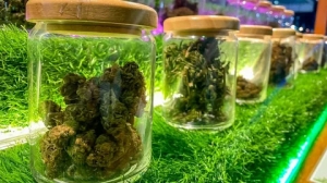 Top Weed Dispensary Arts District for Quality Cannabis