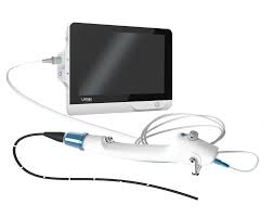 Veterinary Endoscope Market End-User Insights