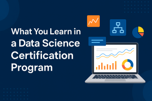 What You Learn in a Data Science Certification Program?