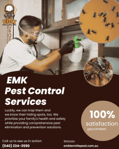 Why Fly Infestations Are Common in Sydney