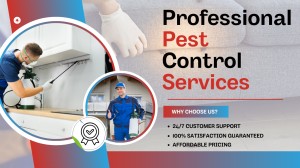 Protect Your Home with Professional Pest Control Solutions Near You