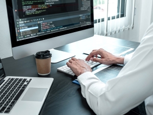Why Hire a Professional Website Developer in Delhi?